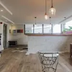 The Paragon Solo Modern Deluxe Central To Cape Town