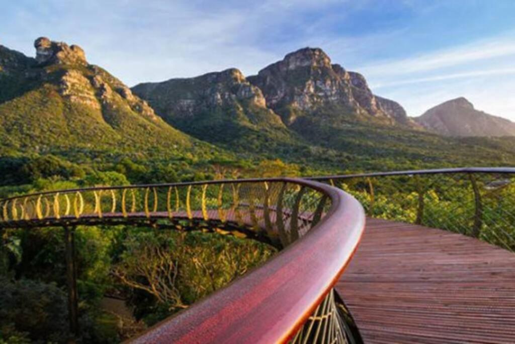 The Paragon Solo Modern Deluxe To Apartment Cape Town