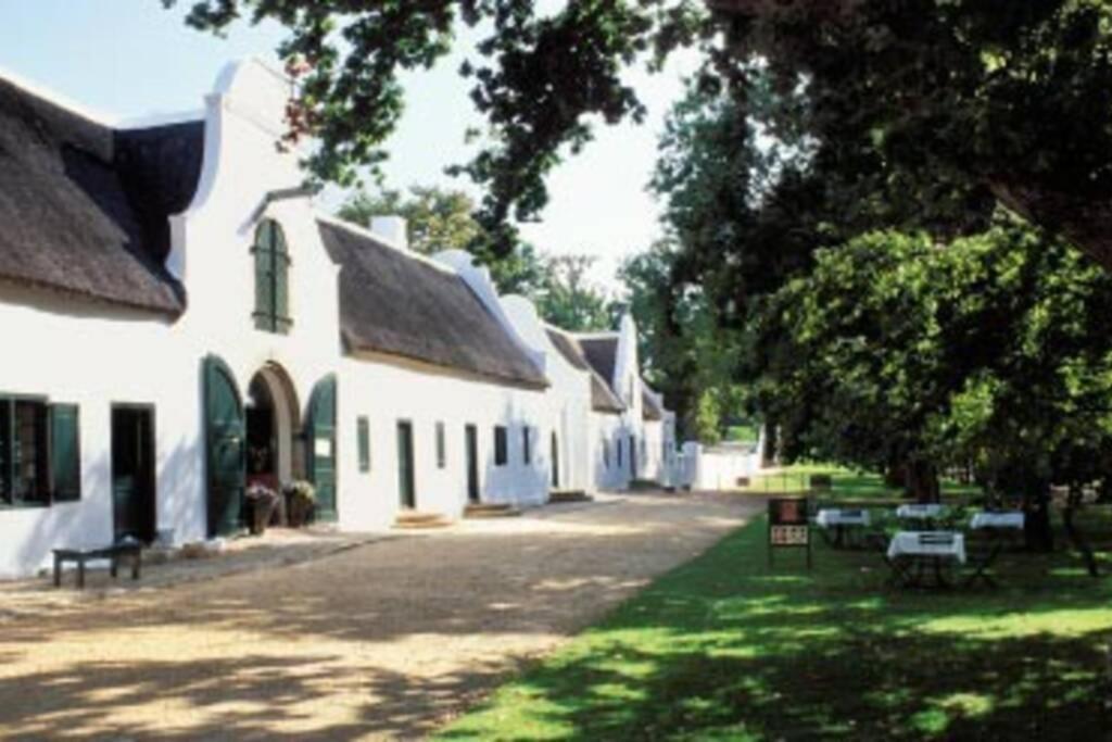 The Paragon Solo Modern Deluxe To Cape Town